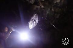 Greek Paranormal Society: Η πρώτη ομάδα εντατικής διερεύνησης παραφυσικών φαινομένων στην Ελλάδα