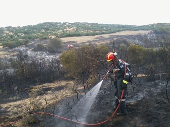 Συνδρομή της ΕΟΔ σε κατάσβεση πυρκαγιάς στο Καλαμωτό Θεσσαλονίκης [photo] - Φωτογραφία 2