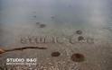 Η παραλία της Νέας Κίου στην Αργολίδα γέμισε με μέδουσες