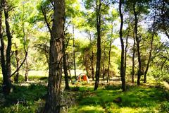 H ελεύθερη κατασκήνωση (free camping) πρέπει να είναι δικαίωμα του καθενός!