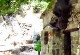 Διαβάστε και δείτε βίντεο για το ανεξήγητο φαινόμενο με τα δένδρα στη σκεπή της Αγίας Θεοδώρας Βάστα! - Φωτογραφία 1