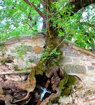 Διαβάστε και δείτε βίντεο για το ανεξήγητο φαινόμενο με τα δένδρα στη σκεπή της Αγίας Θεοδώρας Βάστα! - Φωτογραφία 3