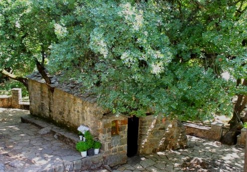 Διαβάστε και δείτε βίντεο για το ανεξήγητο φαινόμενο με τα δένδρα στη σκεπή της Αγίας Θεοδώρας Βάστα! - Φωτογραφία 7