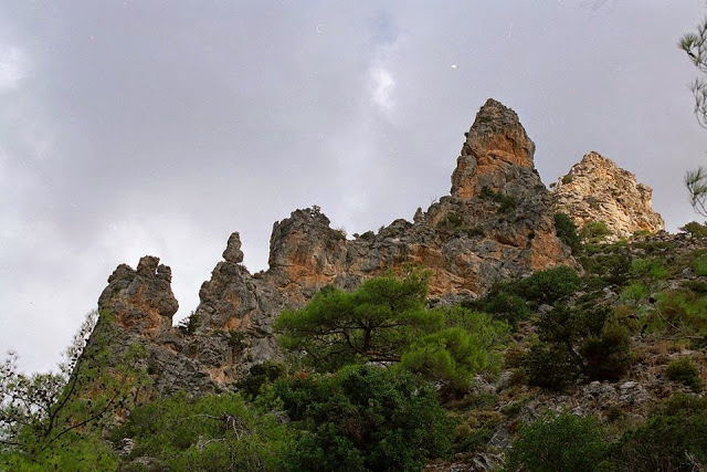 Αφιέρωμα στον ήρωα Νικόλαος Παπαγεωργίου - Φωτογραφία 16