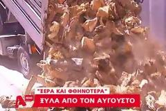 Νωρίς νωρίς αγοράζουν καυσόξυλα οι Έλληνες για να βγάλουν τον χειμώνα [photos]