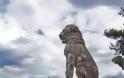 Γιατί το λιοντάρι ήταν το σύμβολο των αρχαίων Μακεδόνων; - Φωτογραφία 6