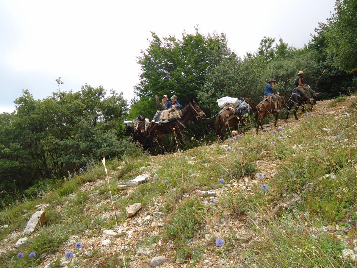 5225 - Φωτογραφίες και βίντεο από την φετινή ανάβαση στην κορυφή του Άθω για την εορτή της Μεταμόρφωσης του Σωτήρος - Φωτογραφία 16