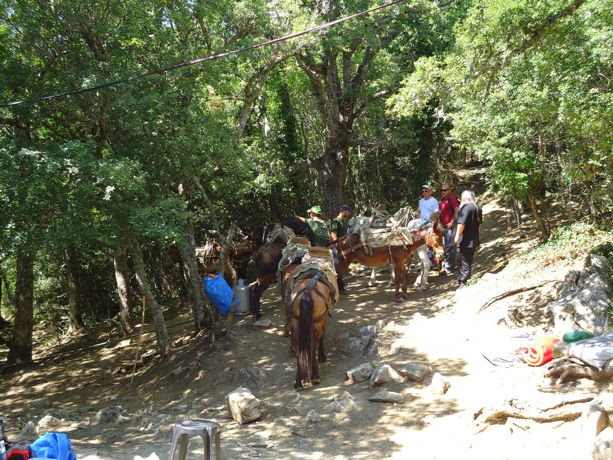 5225 - Φωτογραφίες και βίντεο από την φετινή ανάβαση στην κορυφή του Άθω για την εορτή της Μεταμόρφωσης του Σωτήρος - Φωτογραφία 17