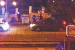 Η βροχή έφερε μεγάλο φίδι μέσα στην πόλη της Ξάνθης! Επιχείριση της Πυροσβεστικής και της Αστυνομίας! [video + photos]