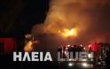 Μαραθιά Αμαλιάδας: Φωτιά κατέστρεψε στάβλο