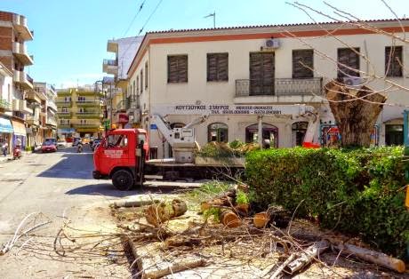 Πάτρα: Θύματα των έργων της μικρής περιμετρικής οι πλάτανοι της πλατείας Ταμπαχάνων - Φωτογραφία 6