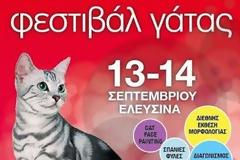 Φεστιβάλ Γάτας αυτό το Σαββατοκύριακο. Μια υπέροχη πρόταση για όλη την οικογένεια