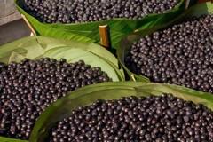 Η απομυθοποίηση των superfoods: Τα προβλήματα υγείας που προκαλούν έξι υπερτροφές