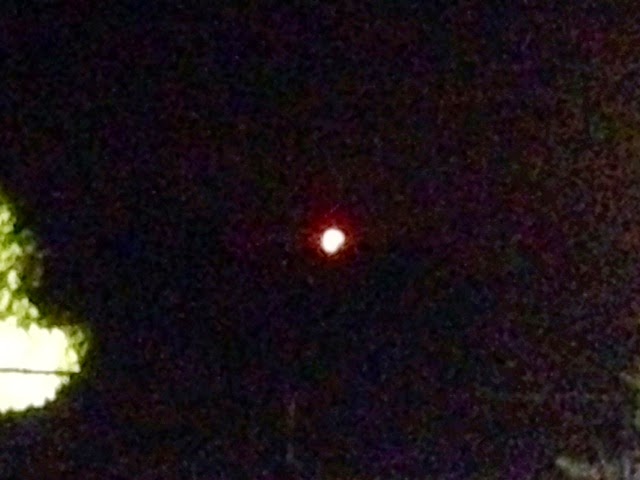 Κατακόκκινο φεγγάρι..., φωτογραφία αναγνώστη - Φωτογραφία 2