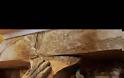 Aποκαλύφθηκαν ολόσωμες οι Καρυάτιδες της Αμφίπολης - Δείτε φωτο - Φωτογραφία 5