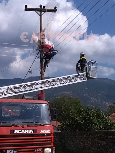 Αλεξιπτωτιστής προσγειώθηκε σε στύλο της ΔΕΗ...Και έζησε απο θαύμα! [photos] - Φωτογραφία 3