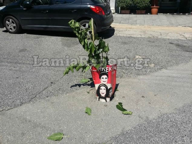 Φύτεψαν δέντρο σε τρύπα δρόμου της Λαμίας για να μη πέφτουν μέσα [photos] - Φωτογραφία 6