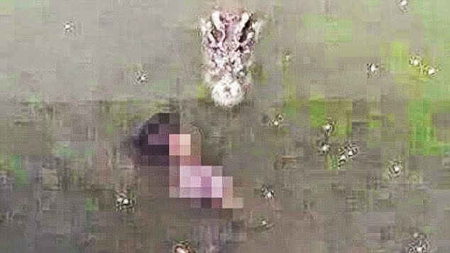 Φρικτή αυτοκτονία: Έπεσε σε λίμνη γεμάτη με κροκόδειλους (pics) - Φωτογραφία 1
