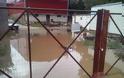 Θεσπιές: Ελαιοτριβείο πλημμύρισε για δεύτερη φορά, εξαιτίας της αδιαφορίας της Π.Ε.Βοιωτίας [photos] - Φωτογραφία 6