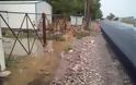 Θεσπιές: Ελαιοτριβείο πλημμύρισε για δεύτερη φορά, εξαιτίας της αδιαφορίας της Π.Ε.Βοιωτίας [photos] - Φωτογραφία 8