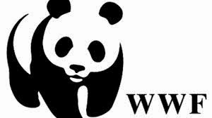 Φεστιβάλ από το WWF στις 27 και 28 Σεπτεμβρίου - Φωτογραφία 1
