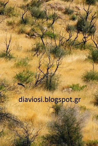 Ο άνθρωπος απέναντι στη Φύση... - Φωτογραφία 7