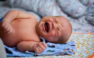 Παγκόσμια γλώσσα ανθρώπων και ζώων το κλάμα ενός μωρού - Φωτογραφία 1