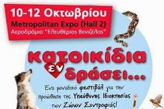 Γιορτάστε την Παγκόσμια Ημέρα των Ζώων στο μεγαλύτερο φεστιβάλ για κατοικίδια, το ΚΑΤΟΙΚΙΔΙΑ ΕΝ ΔΡΑΣΕΙ 10-12 Οκτωβρίου στο Metropolitan Expo
