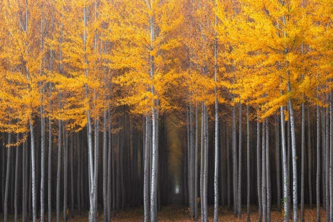 Το Φθινόπωρο μέσα από 25 εντυπωσιακές φωτογραφίες - Φωτογραφία 15