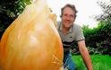 Το μεγαλύτερο κρεμμύδι στον κόσμο! - Φωτογραφία 1