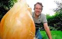 Το μεγαλύτερο κρεμμύδι στον κόσμο! - Φωτογραφία 2