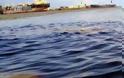 Πάτρα: Ρύπανση από μίγματα πετρελαιοειδών ανάμεσα στα δύο λιμάνια της πόλης