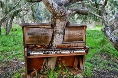 Όταν η φύση νικά τον ανθρώπινο πολιτισμό (photos)