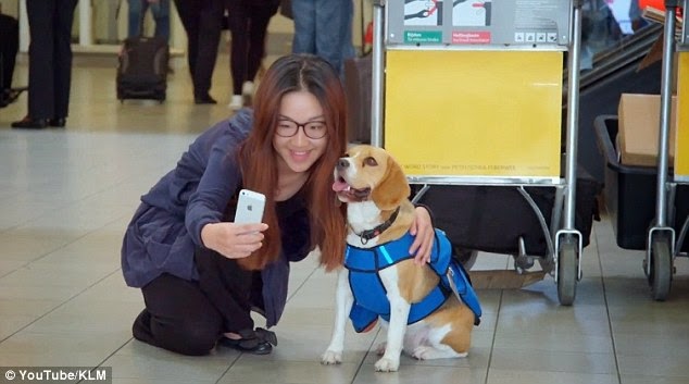 Φοβερό! Ο Σκύλος του αεροδρομίου που βρίσκει τα χαμένα αντικείμενα και τα επιστρέφει στους νόμιμους ιδιοκτήτες [photos + video] - Φωτογραφία 6