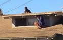 Κρύφτηκε στη στέγη του σπιτιού της για να γλιτώσει από τον διαρρήκτη [photos] - Φωτογραφία 4