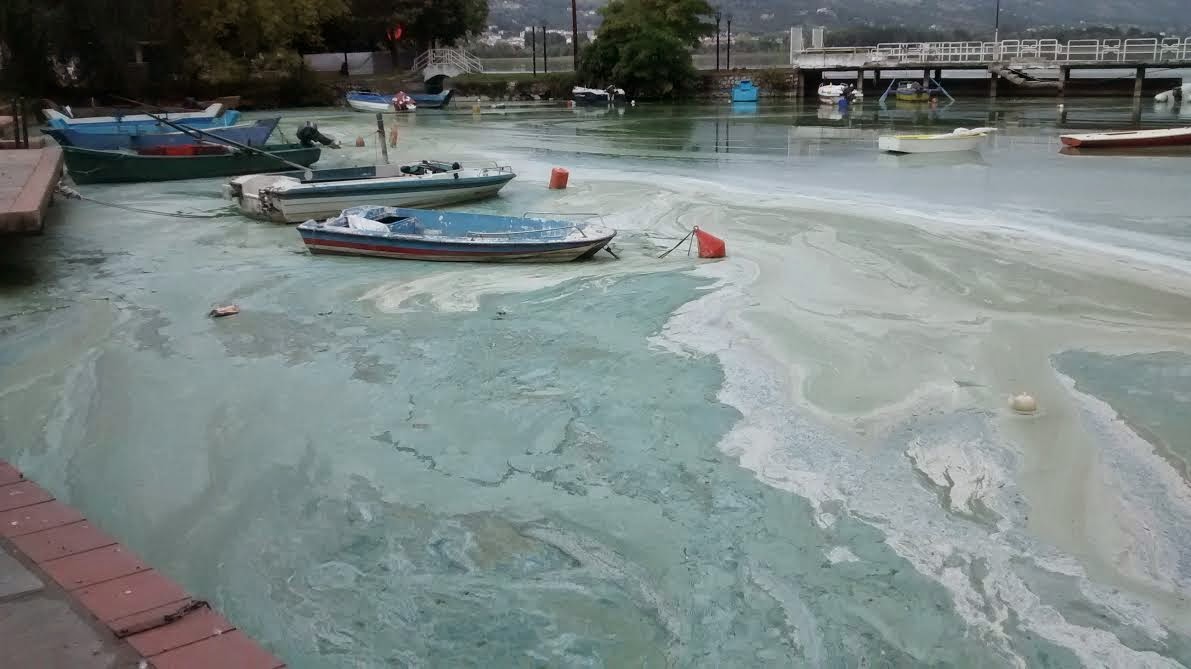 Απογοητευτική η εικόνα της λίμνης Καστοριάς - Φωτογραφία 3