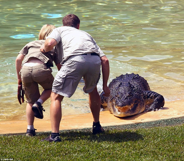 ΔΕΙΤΕ: Η στιγμή που ο 10χρονος γιος του Steve Irwin ήρθε πρόσωπο με πρόσωπο με έναν γιγάντιο κροκόδειλο - Φωτογραφία 3