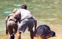 ΔΕΙΤΕ: Η στιγμή που ο 10χρονος γιος του Steve Irwin ήρθε πρόσωπο με πρόσωπο με έναν γιγάντιο κροκόδειλο - Φωτογραφία 3
