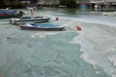 Σοκάρει η εικόνα της λίμνης στην Καστοριά: Το αποκρουστικό θέαμα που είδαν οι επιστήμονες - Φωτογραφία 1