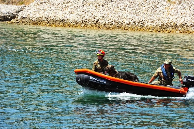 Τιμές κατά την ταφή Στρατιωτικού Σκύλου του 747 ΕΤΜΧ - Φωτογραφία 6