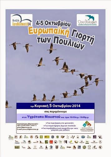 Πανευρωπαϊκή Γιορτή των Πουλιών 2014 στον υγρότοπο Μουστού - Φωτογραφία 2