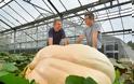 Βρετανία: Καλλιέργησαν κολοκύθα που ζυγίζει 736 κιλά! [photos] - Φωτογραφία 2