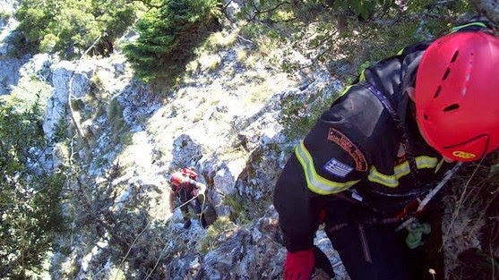 Φθιώτιδα: Κατέβηκαν με σχοινιά σε χαράδρα 400 μέτρων για να σώσουν τον εγκλωβισμένο σκύλο - Φωτογραφία 1