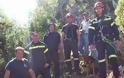 Φθιώτιδα: Κατέβηκαν με σχοινιά σε χαράδρα 400 μέτρων για να σώσουν τον εγκλωβισμένο σκύλο - Φωτογραφία 2