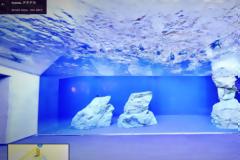 Τα μυστικά του Google Street View: Εκπληκτικές λήψεις που δεν ξέρατε ότι υπάρχουν