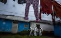 Φωτογραφίες γροθιά στο στομάχι κατέγραψε με το φακό του φωτορεπόρτερ  στη Λιβερία που δοκιμάζεται από το ιό Έμπολα (Pics) - Φωτογραφία 5