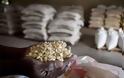 «Κόλαση» στη Δυτική Αφρική: Οποιος γλιτώνει από Εμπολα, κινδυνεύει από την πείνα!