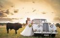 Ταύρος κάνει photobombing σε γαμήλια φωτογράφηση