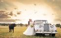 Ταύρος κάνει photobombing σε γαμήλια φωτογράφηση - Φωτογραφία 3