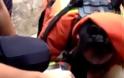 ΠΑΓΚΟΣΜΙΑ ΗΜΕΡΑ ΤΩΝ ΖΩΩΝ: Πυροσβέστης δίνει το ΦΙΛΙ της Ζωής και σώζει ΣΚΥΛΟ! [video]